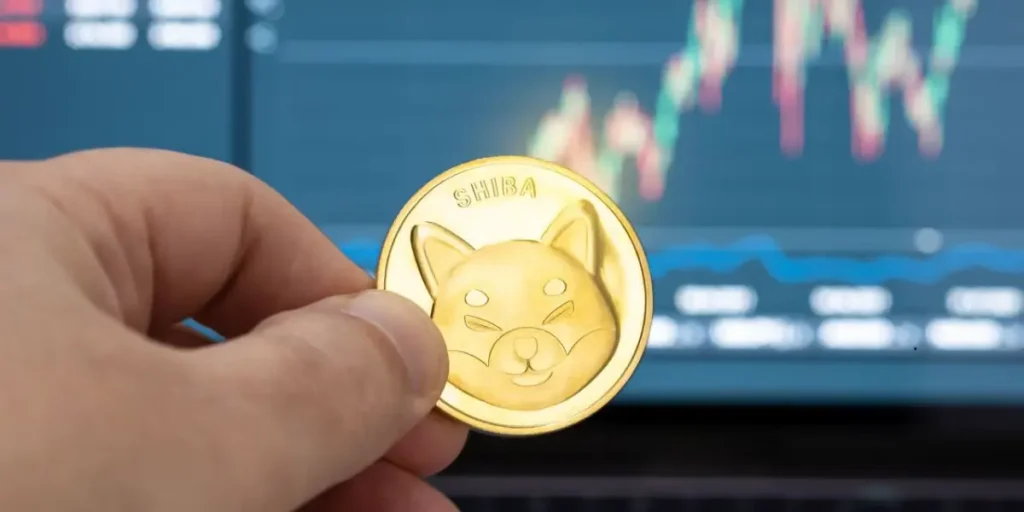 shuba inu coin